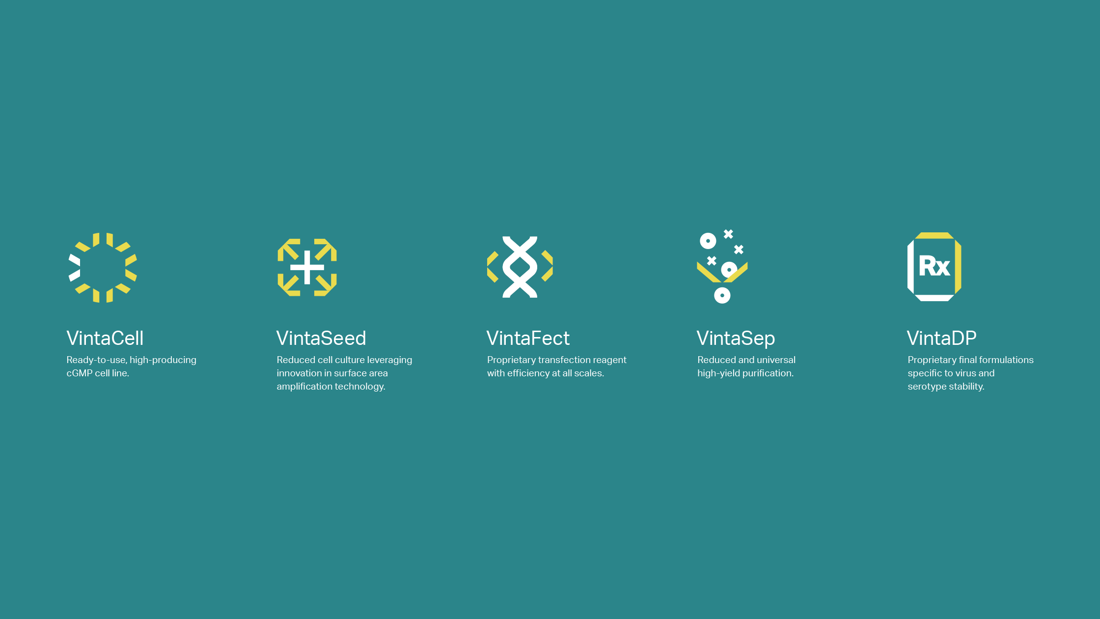 Custom iconography designed by Igawa Design for each step of VintaBio's platform — VintaCell, VintaSeed, VintaFect, VintaSep, and VintaDP. The visuals combine clean lines and vibrant accents to represent the precision and innovation behind each stage of the process.