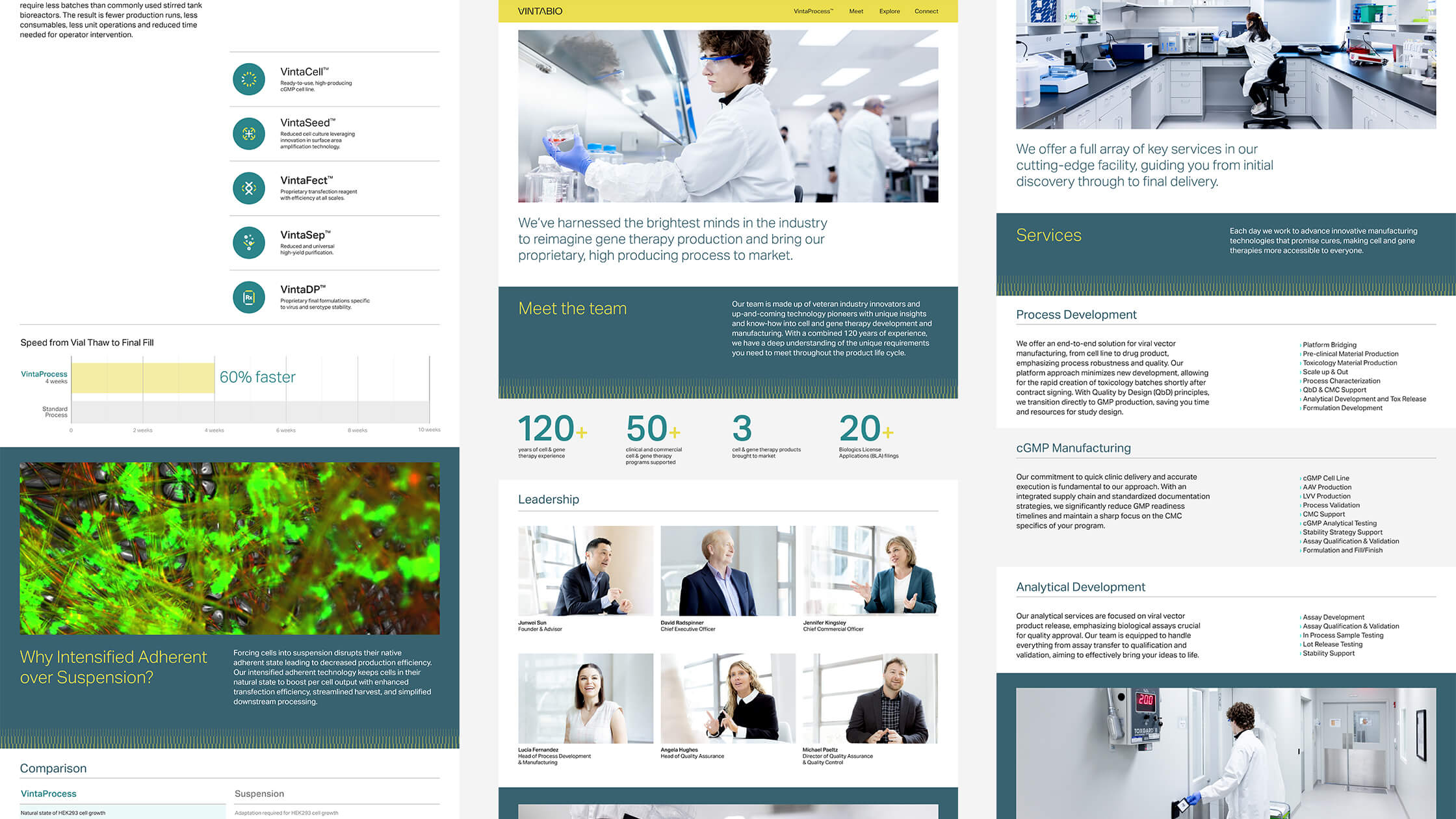 Cropped views of the VintaBio website, designed by Igawa Design, showcasing a variety of content treatments, including team introductions, service overviews, process highlights, and data visualizations. The design emphasizes clarity, professionalism, and a user-friendly layout to communicate VintaBio’s expertise in gene therapy manufacturing.
