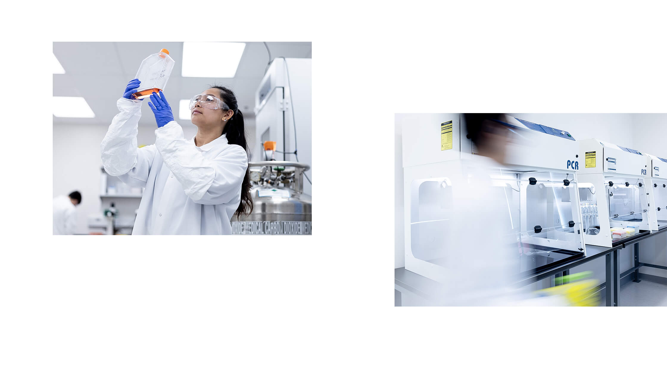 Photoshoot art directed by Igawa Design for VintaBio, highlighting a technician inspecting a culture flask and another working in a PCR cleanroom environment. The imagery emphasizes the precision and advanced facilities that define VintaBio’s approach to gene therapy manufacturing.