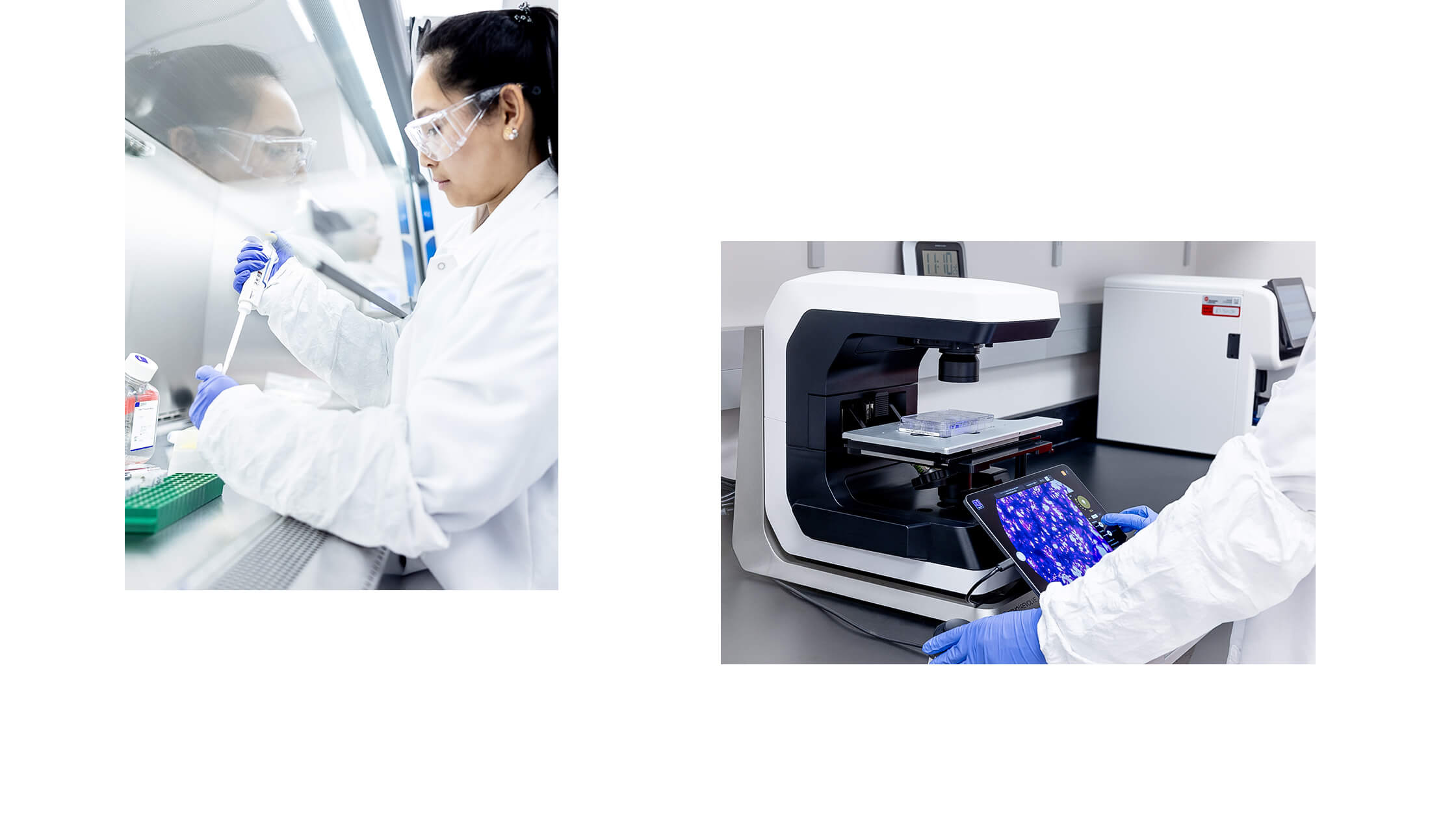 Photoshoot art directed by Igawa Design for VintaBio, showcasing a lab technician pipetting under a sterile hood and another using advanced microscopy equipment with digital imaging. The imagery highlights the precision and innovation of VintaBio's research processes.